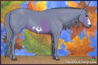 Horse Color:Watercolor Brown Frame 