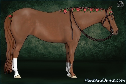 Horse Color:Chestnut Frame 
