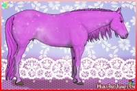 Horse Color:Watercolor Chestnut 