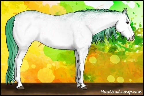Horse Color:Watercolor White Spotted Bay 
