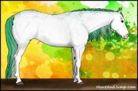 Horse Color:Watercolor White Spotted Bay 