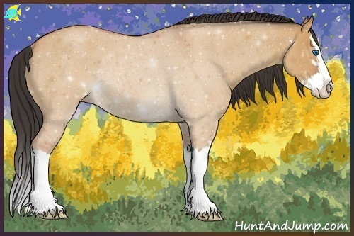 Horse Color:Bay Roan Dun Sabino Splash Rabicano 
