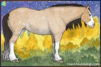 Horse Color:Bay Roan Dun Sabino Splash Rabicano