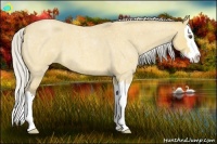 Horse Color:Silver Buckskin Roan Dun Splash 