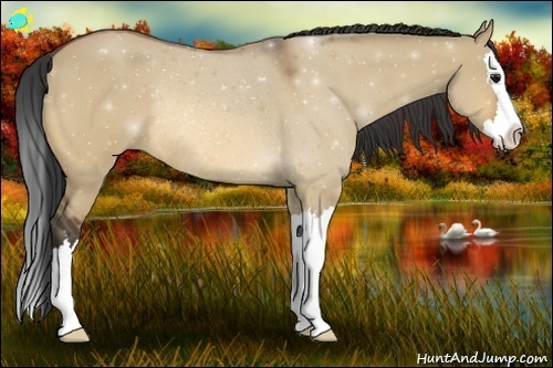 Horse Color:Bay Roan Dun Splash Rabicano