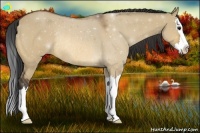 Horse Color:Bay Roan Dun Splash Rabicano 