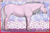Horse Color:Watercolor Gold Cream Champagne Dun 