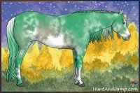 Horse Color:Watercolor White Spotted Brown Frame
