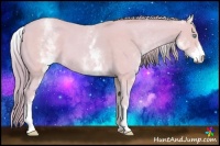 Horse Color:Watercolor White Spotted Perlino 