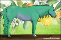 Horse Color:Watercolor Buckskin 