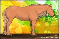 Horse Color:Watercolor Chestnut 