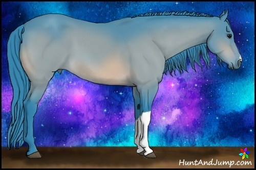 Horse Color:Watercolor Bay 
