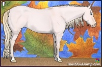 Horse Color:Watercolor Cremello Dun 