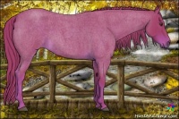 Horse Color:Watercolor Liver Red Roan 
