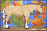 Horse Color:Painted White Spotted Palomino 