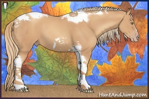 Horse Color:Gold Champagne Tobiano Frame 