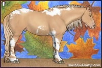 Horse Color:Gold Champagne Tobiano Frame