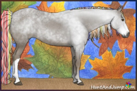 Horse Color:Gray Painted Palomino