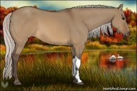 Horse Color:Silver Brown Dun Tobiano Rabicano 