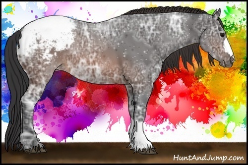 Horse Color:Brown Ice Appaloosa