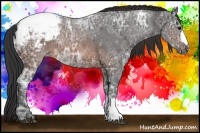 Horse Color:Brown Ice Appaloosa