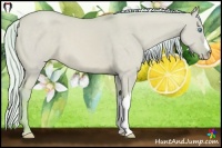 Horse Color:Watercolor Silver Perlino Dun 