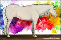 Horse Color:Watercolor Silver Perlino Dun 