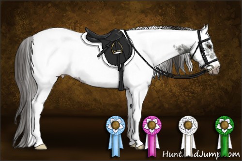 Horse Color:White Spotted Liver Chestnut Frame Rabicano 