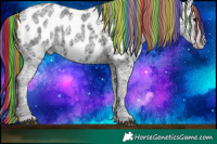 Horse Color:Painted Black Ice Appaloosa 