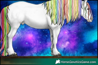 Horse Color:Painted Black Ice Appaloosa