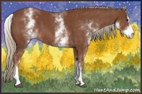 Horse Color:White Spotted Chestnut Sabino