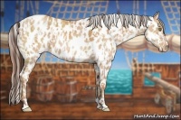 Horse Color:Amber Champagne Appaloosa  and Amber Champagne Appaloosa 