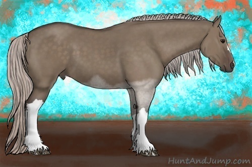 Horse Color:Silver Grullo 