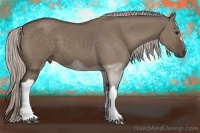 Horse Color:Silver Grullo