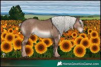 Horse Color:Liver Red Dun Mushroom Rabicano 