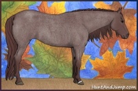 Horse Color:Chocolate Blue Roan 