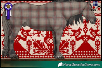 Horse Color:Plaid  Grullo 