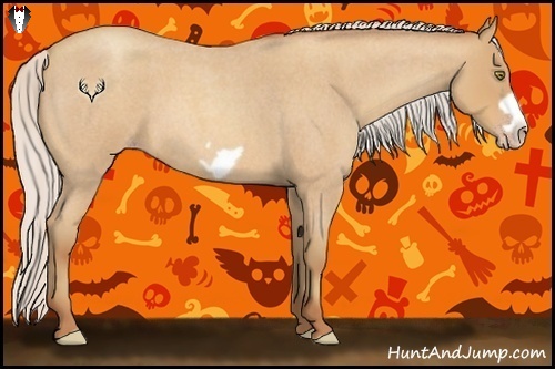Horse Color:Silver Amber Champagne Roan Frame 