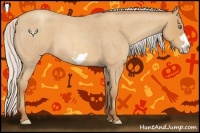 Horse Color:Silver Amber Champagne Roan Frame 