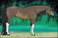 Horse Color:Brown Dun 