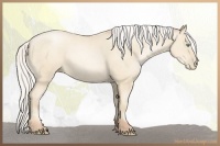 Horse Color:Silver Amber Cream Champagne Pearl