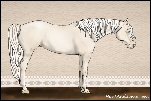 Horse Color:Gold Cream Champagne Pearl
