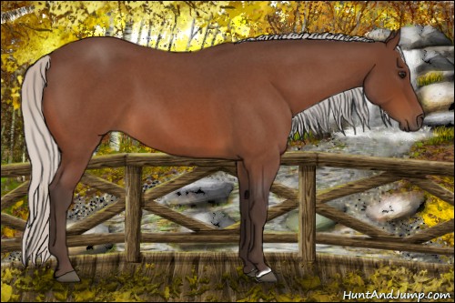 Horse Color:Silver Bay Roan 