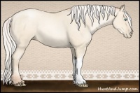 Horse Color:Silver Sable Cream Champagne Pearl 