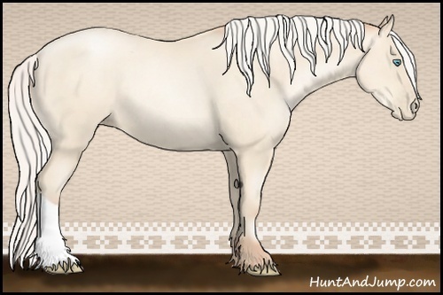 Horse Color:Silver Amber Cream Champagne Pearl 