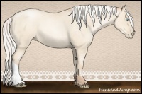 Horse Color:Silver Amber Cream Champagne Pearl 