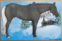 Horse Color:Midnight Silver Amber Cream Champagne Ice Roan Pearl