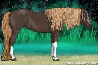 Horse Color:Liver Chestnut