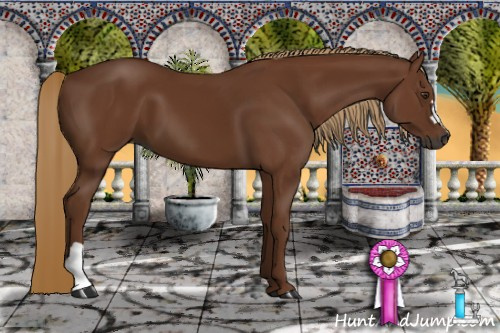 Horse Color:Gray Chestnut 