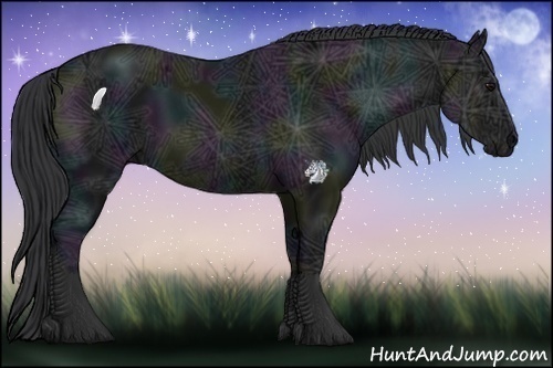 Horse Color:Midnight Black Ice 